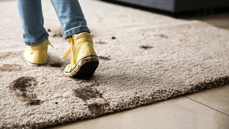 Can carpet cleaning remove mold or mildew?