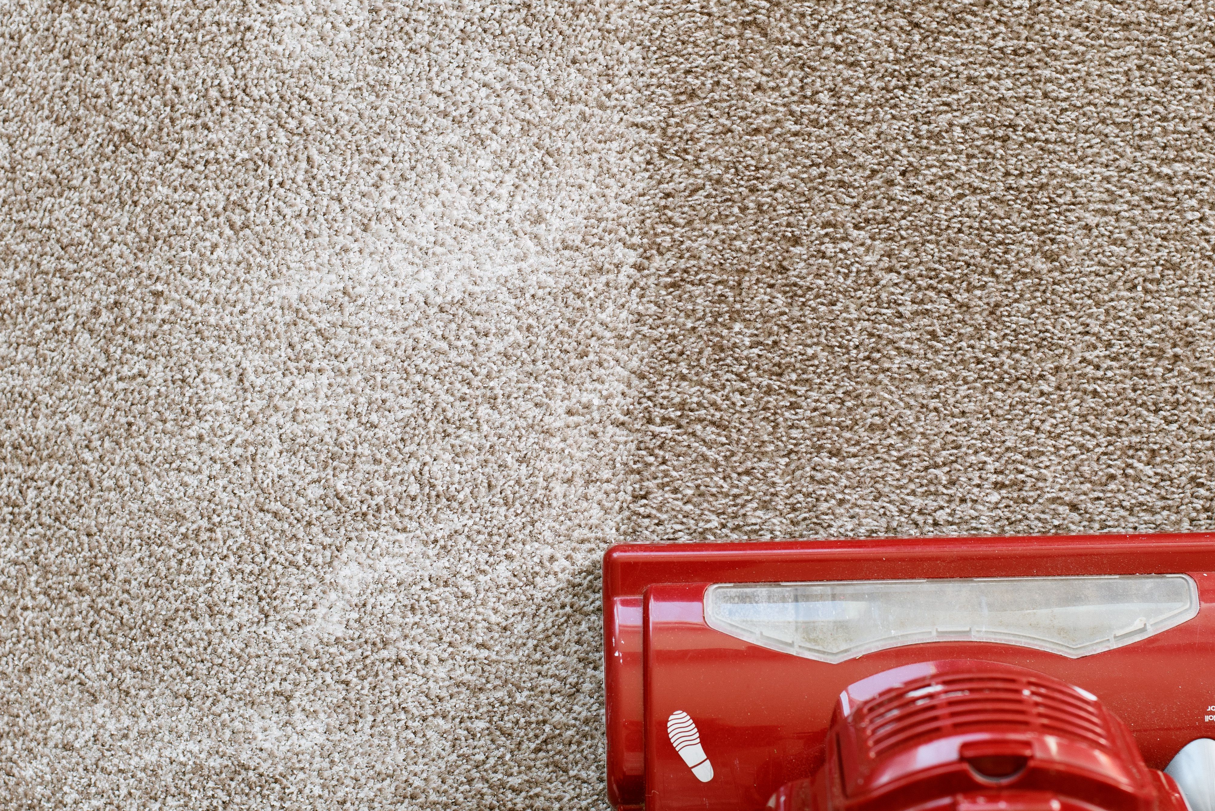 Can Carpet Cleaning Remove Mold Or Mildew, Carpet cleaning
